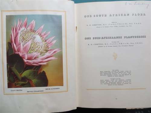 SA Flora - Cigarette Cards Album - +- 90/100 present + Butterfly Prints