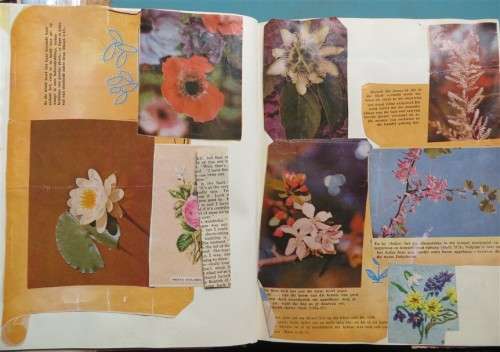 SA Flora - Cigarette Cards Album - +- 90/100 present + Butterfly Prints