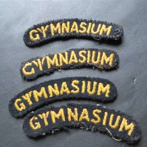4 x Gymnasium Titles embroidered Badge