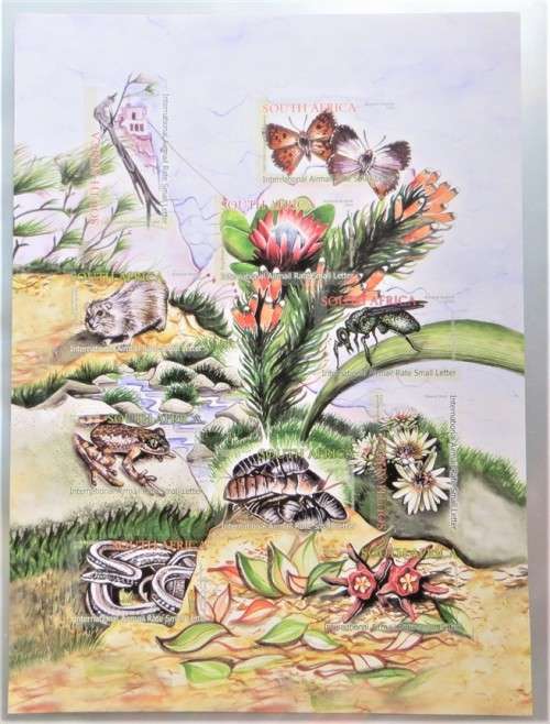 2004 ECOLOGY OF TABLE MOUNTAIN Sheet UMM - Bid per sheet