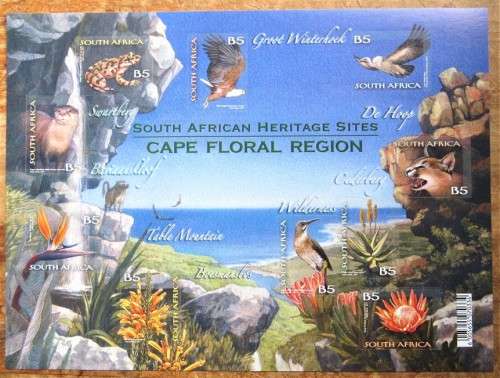 Cape Floral Region sheet UMM - Bid per sheet