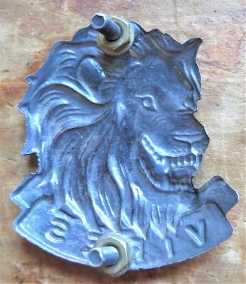 SA Army `VIRES` Lion Badge