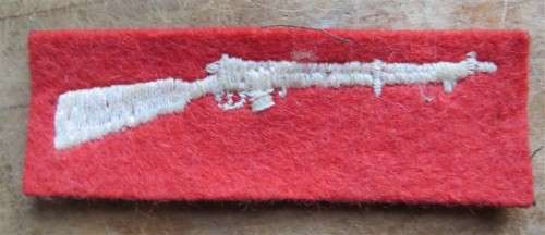 SADF Rifleman Sharp shooter Badge & embroidered Patch - 1 Bid for Both