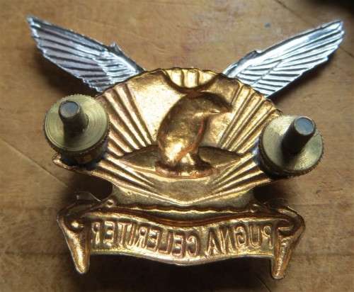 Durban regiment Cap Badge + Oddments