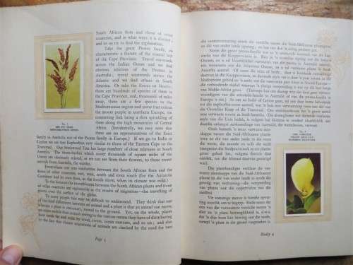 SA Flora Cigarette Card Album - 2 missing