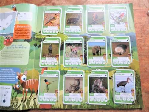 South African Super Animals - Complete Cards Collection in Album