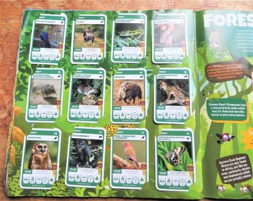 South African Super Animals - Complete Cards Collection in Album