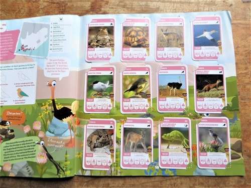 South African Super Animals - Complete Cards Collection in Album