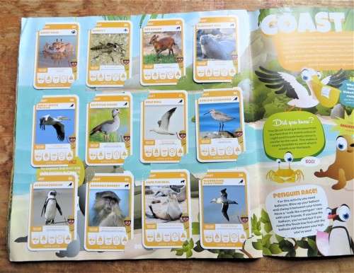 South African Super Animals - Complete Cards Collection in Album