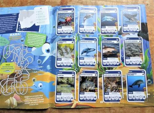 South African Super Animals - Complete Cards Collection in Album