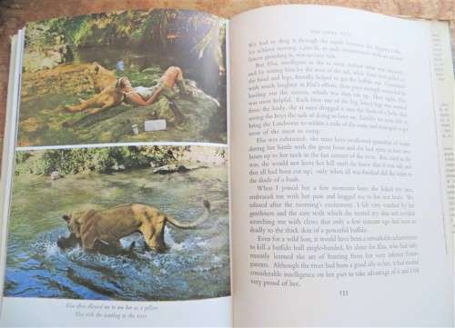 Born Free - A Lioness of Two Worlds - Joy Adamson 1960 2nd Impression