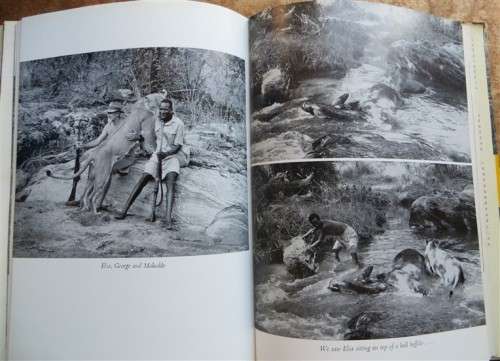 Born Free - A Lioness of Two Worlds - Joy Adamson 1960 2nd Impression