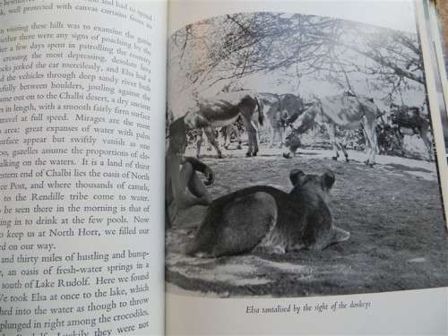 Born Free - A Lioness of Two Worlds - Joy Adamson 1960 2nd Impression
