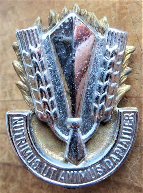Catering Corps Badge - Lugs intact
