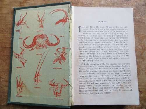 Wild Animals of Southern Africa - Rhodesia