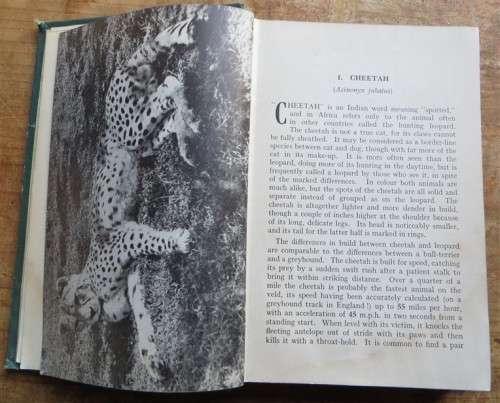 Wild Animals of Southern Africa - Rhodesia