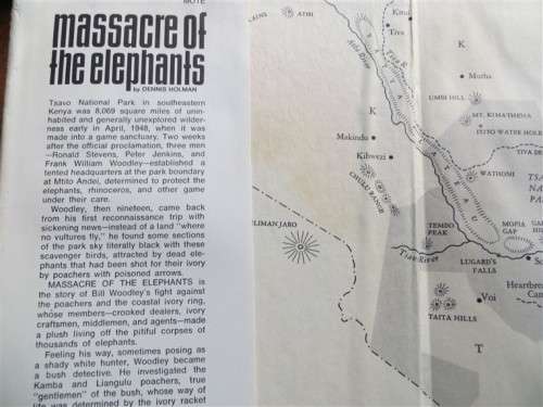 Massacre of the Elephants - Damaged - Dennis Homan 1st Edition