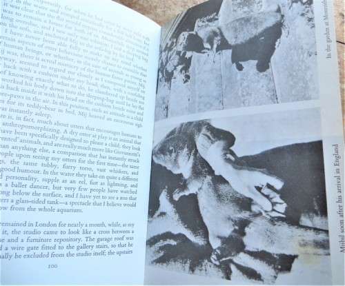 Ring of Bright Water - Gavin Maxwell - Story of Otters & Man
