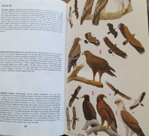 Birds : Kruger National Park - Macmillan Guide