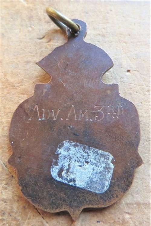 S.A.D.T.A 46 Badge - Numbered 46 - ADV.AM. 3rd