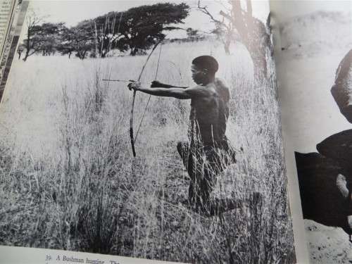 South West Africa - Alice Mertens
