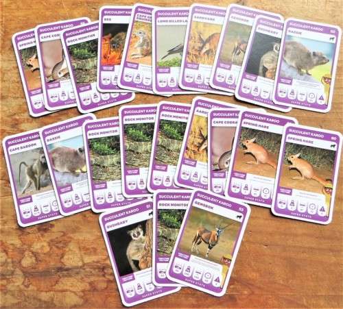 South African Super Animals Cards - Pick n Pay - Succulent Karoo