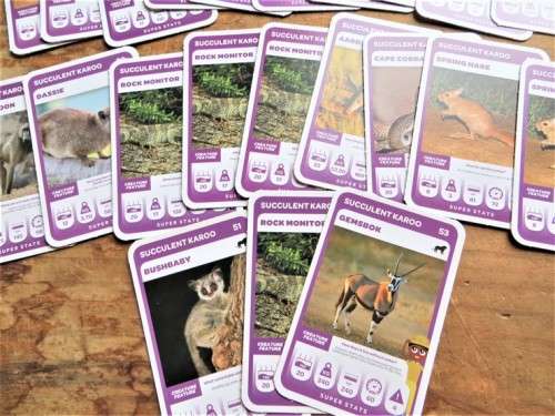South African Super Animals Cards - Pick n Pay - Succulent Karoo