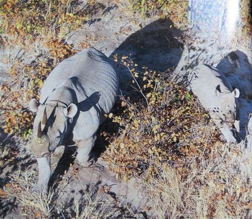 Okavango From the Air - Herman Potgieter and Clive Walker