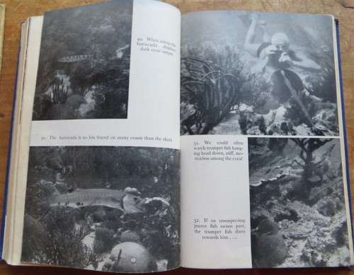 Diving to Adventure - Hans Hass - Harpoon & Camera under the Sea 1953