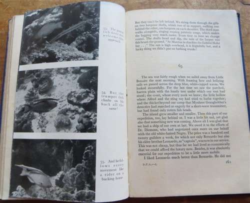 Diving to Adventure - Hans Hass - Harpoon & Camera under the Sea 1953