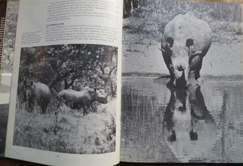 Game Sanctuaries of Southern Africa , Rhodesia , SA , Moz - David Steele