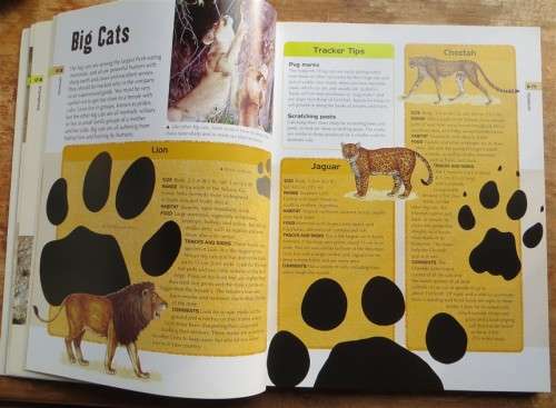 Animal Tracks and Signs - Jinny Johnson