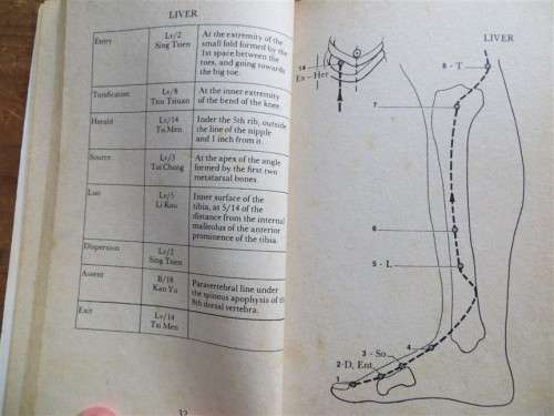 The Little Red Book of Acupuncture