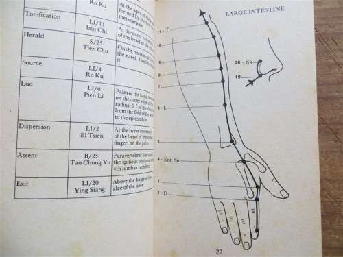 The Little Red Book of Acupuncture