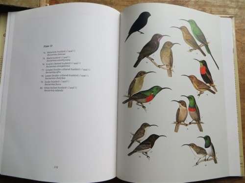 Garden Birds of Southern Africa - signed by Author Geoff Lockwood