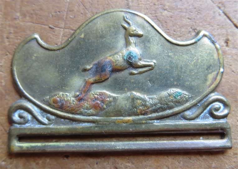 Small Springbok badge - Looks was on ribbon - Army ???