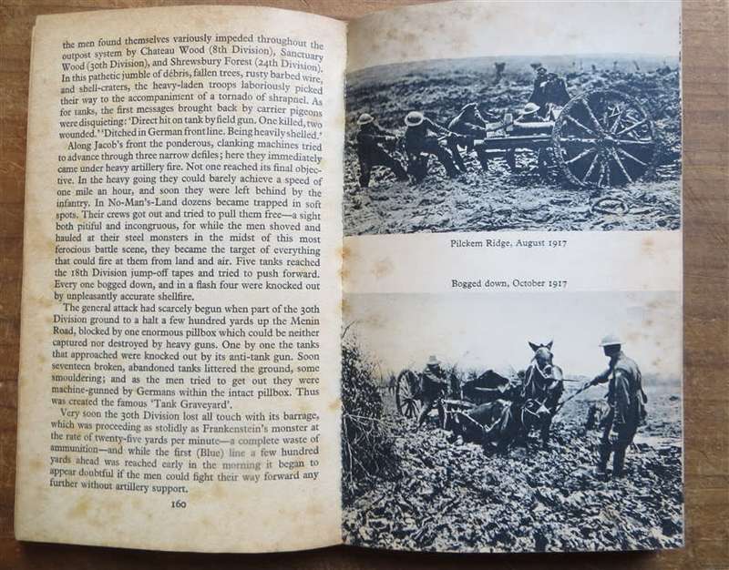 In Flanders Fields - Leon Wolff