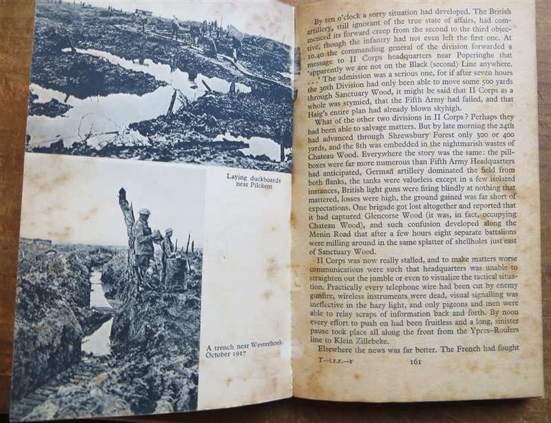 In Flanders Fields - Leon Wolff