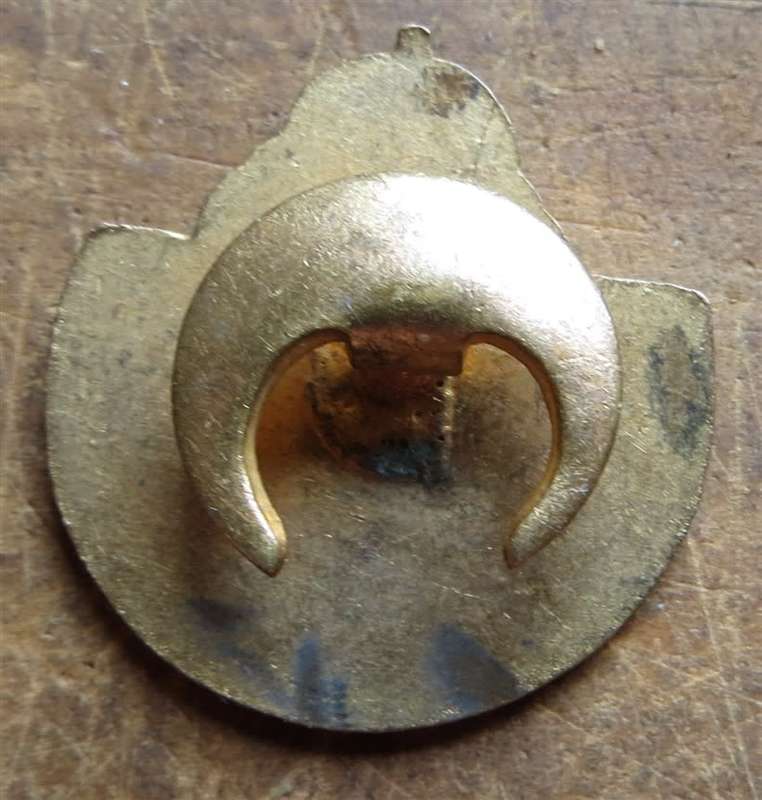 Vintage WW2 Air Force Comrades in War & Peace Button Badge