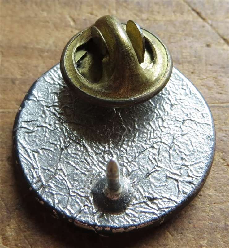 Small BMW pin Badge