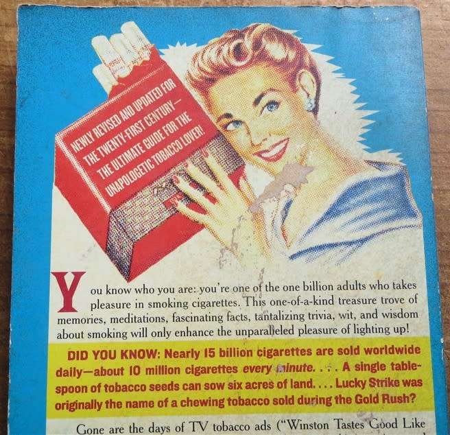 The Joys of Smoking Cigarettes - James Fitzgerald