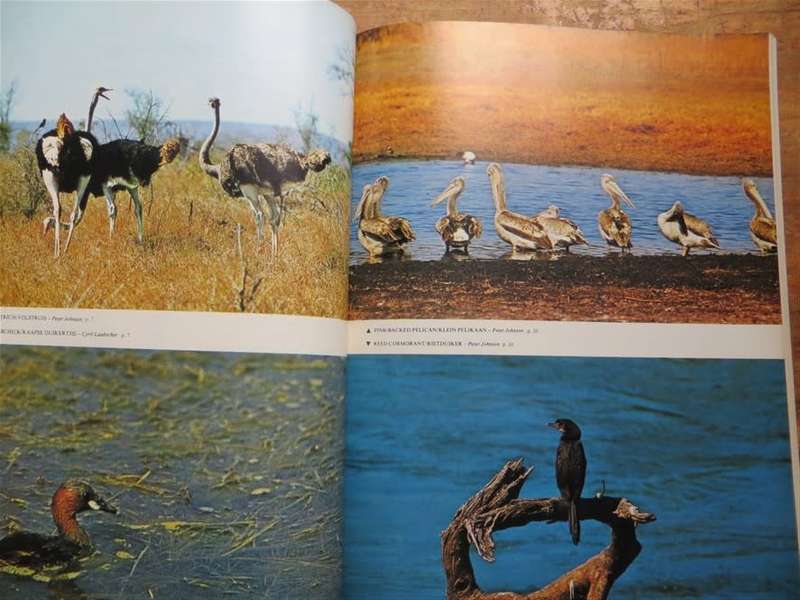 Distribution & Status of the birds of the Kruger Nat. Park - A.C Kemp