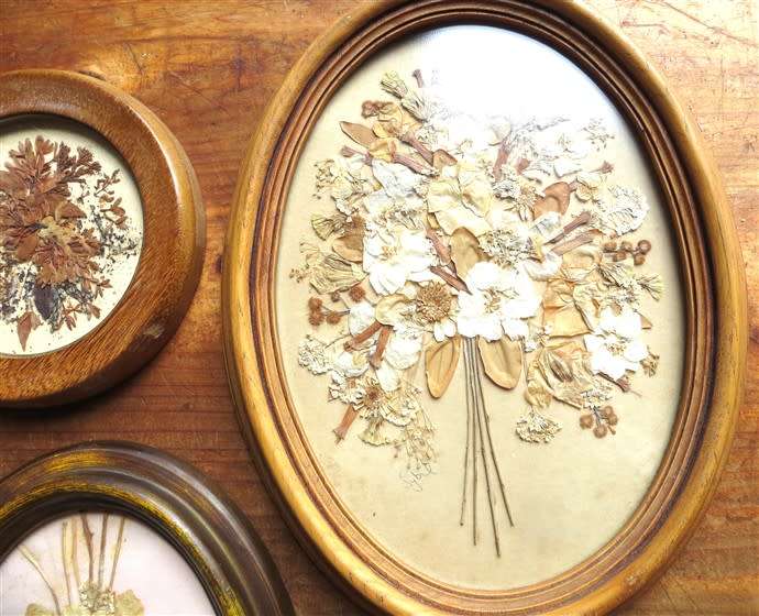 Pressed flowers framed with glass Collection - All for 1 Bid