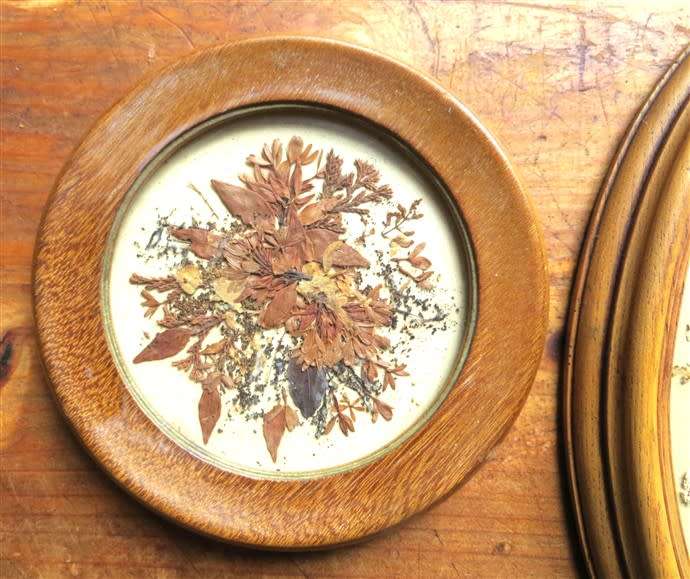 Pressed flowers framed with glass Collection - All for 1 Bid