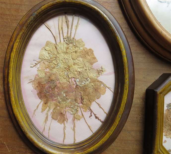 Pressed flowers framed with glass Collection - All for 1 Bid