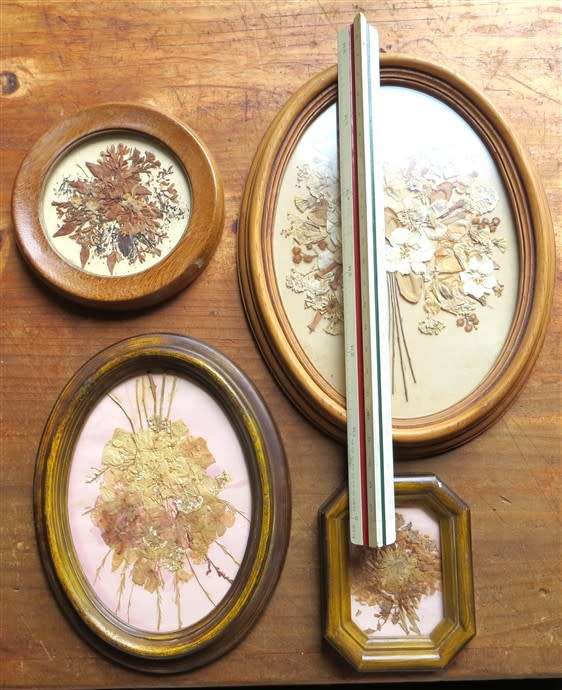 Pressed flowers framed with glass Collection - All for 1 Bid