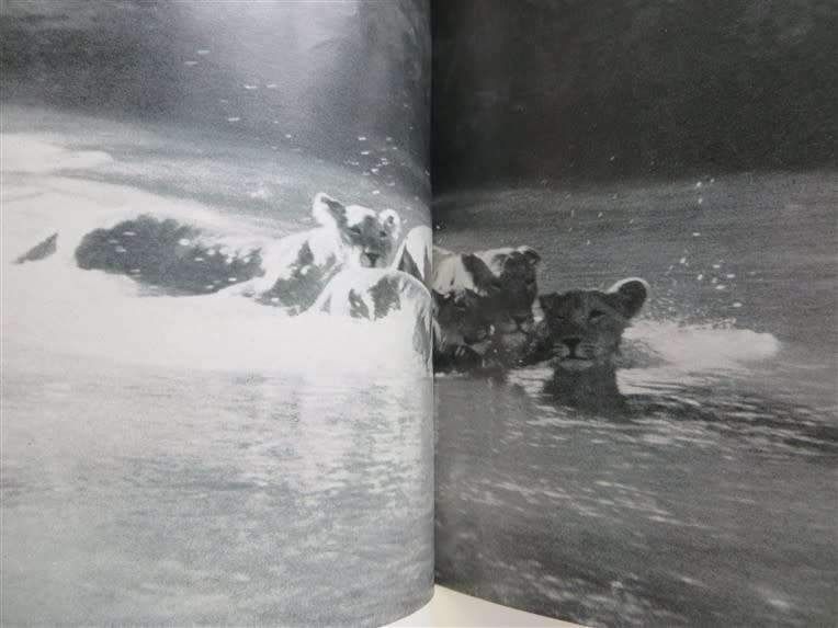 Forever Free - Elsa`s Pride - Joy Adamson