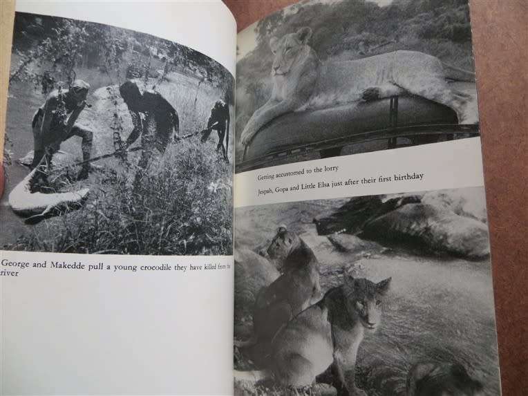 Forever Free - Elsa`s Pride - Joy Adamson