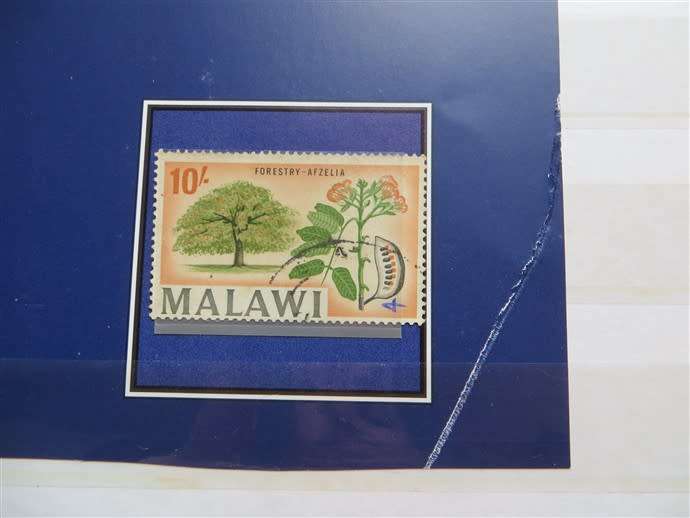 Malawi 10/ Shillings Used