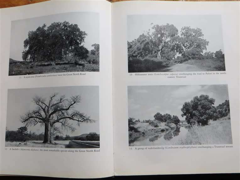 TREES OF SOUTH AFRICA - Palmer & Pitman VOL.1 1961